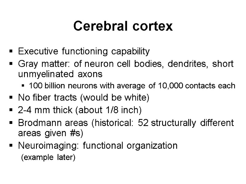 Cerebral cortex Executive functioning capability Gray matter: of neuron cell bodies, dendrites, short unmyelinated